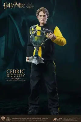 Figurine hp cedric diggory 1/6 action
